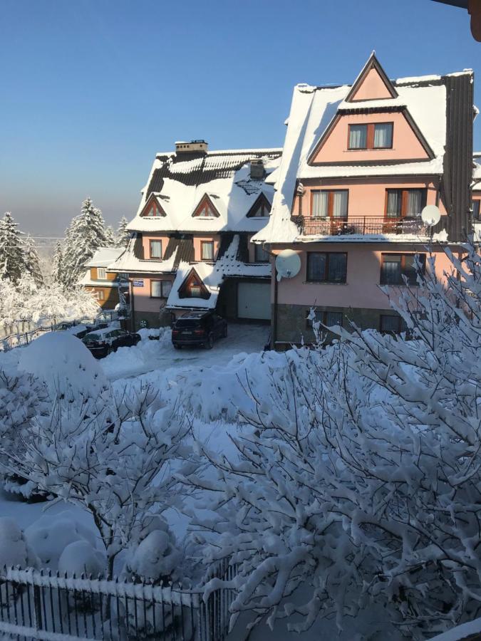 Pokoje U Borzana Bed & Breakfast Biały Dunajec Dış mekan fotoğraf